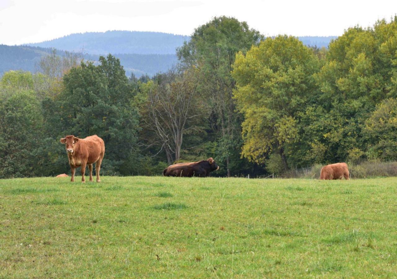 Ferienhaus Vulkaneifel Kopp Eksteriør bilde